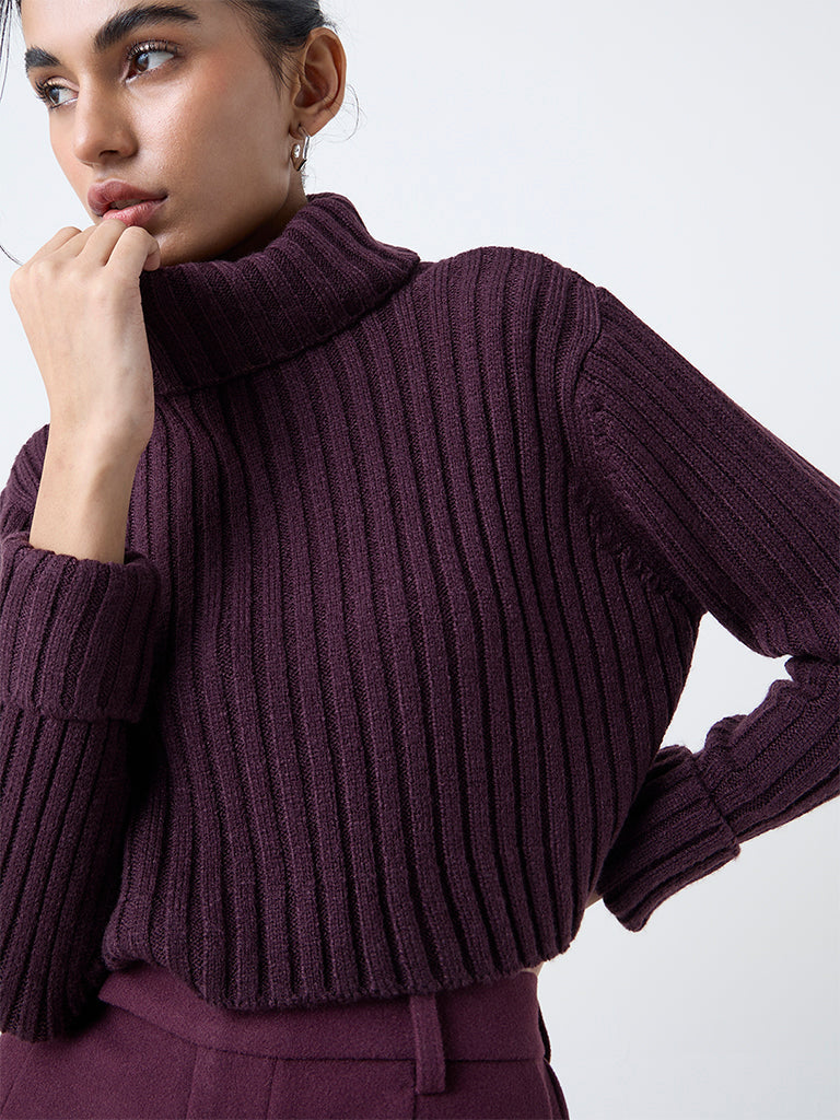 Nuon Plum Self-Striped Turtle-Neck Sweater